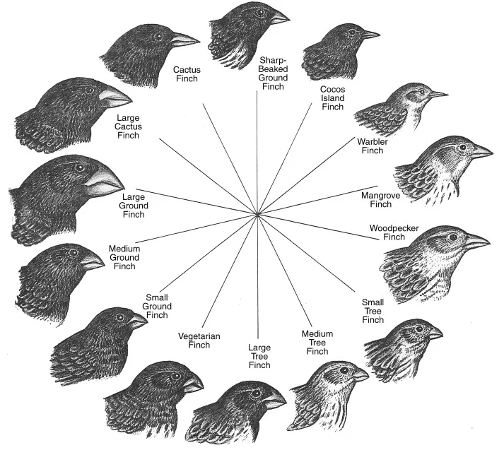 Как стать гением геймдизайна: играйте во всё в своём жанре